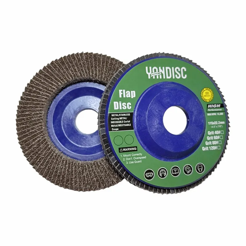 4 inch Abrasive Flap Disc T27 (4)